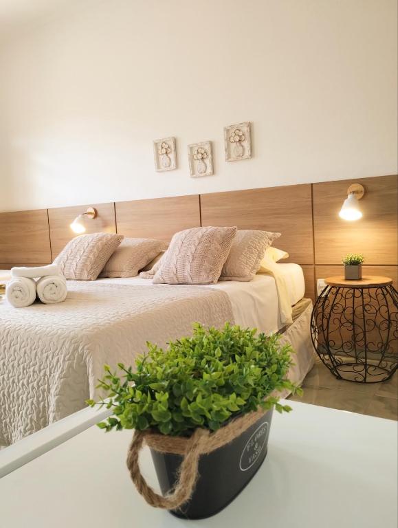 a bedroom with a large bed and a potted plant at Pousada Luz do Sol, com piscina, quartos amplos e confortáveis no centro de Carrancas in Carrancas