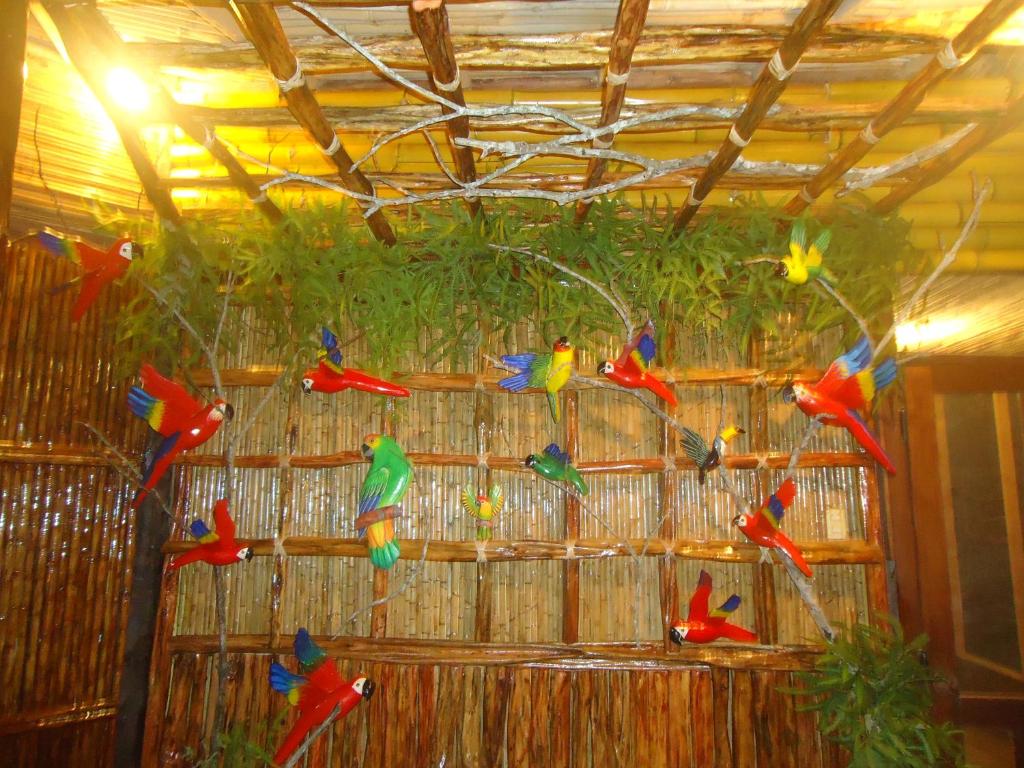 Fotografie z fotogalerie ubytování Pacaya Samiria Amazon Lodge - ALL INCLUSIVE v destinaci Nauta