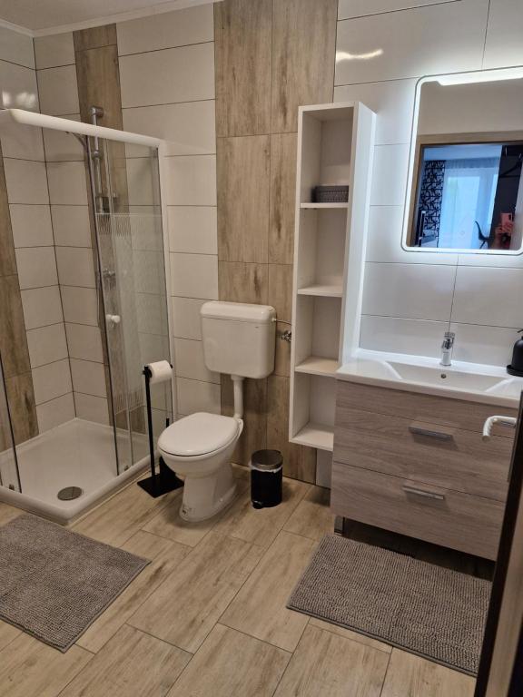 Koupelna v ubytování Apartma Vovk