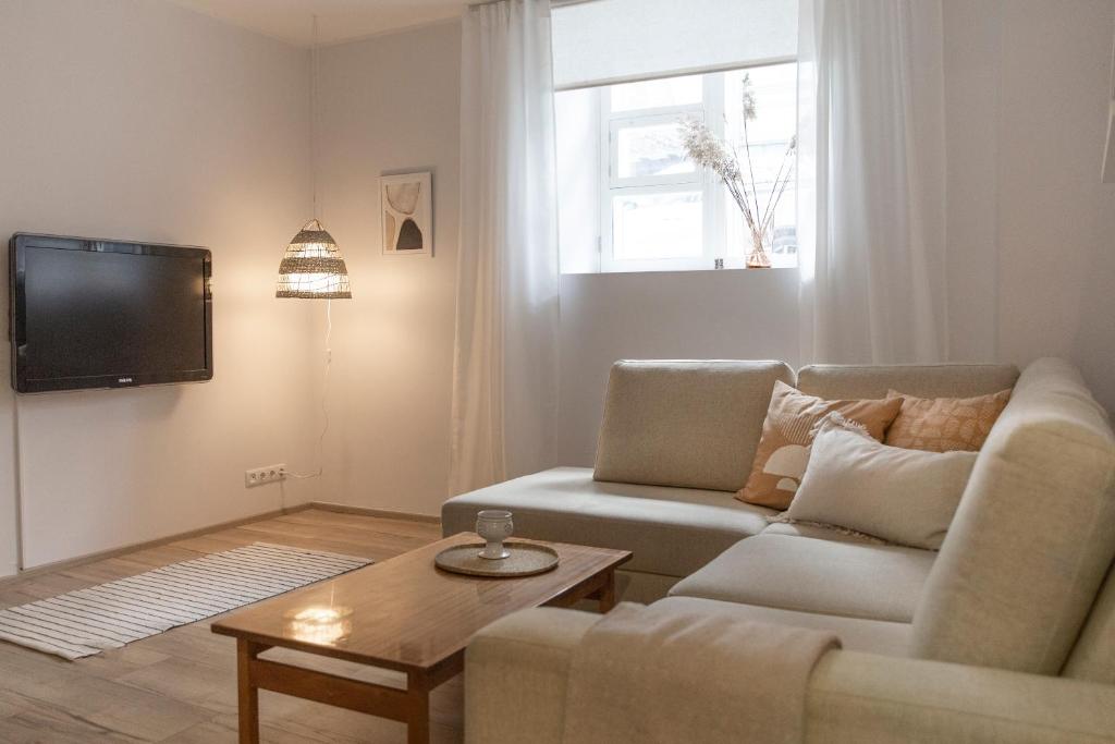 Charming one bedroom apartment in central Tallinn - One-Bedroom Apartment