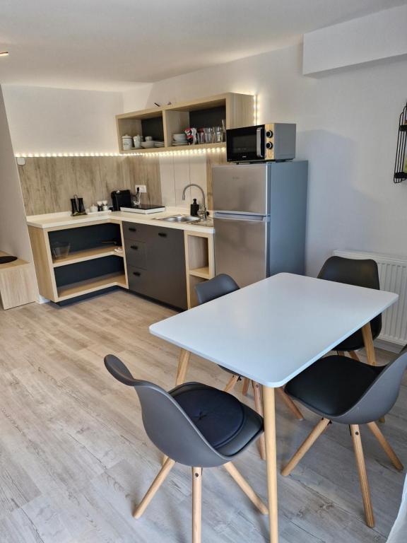Kuchyň nebo kuchyňský kout v ubytování Apartma Vovk