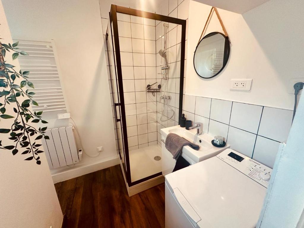 a bathroom with a shower and a sink and a mirror at Pomme d&#39;api - 319 in Rouen