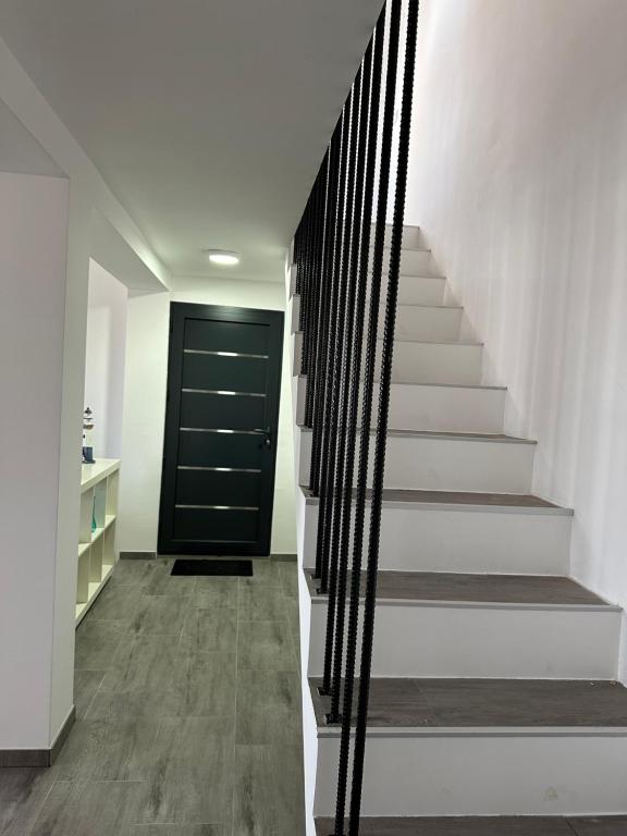a staircase in a house with a black door at Košava in Golubac