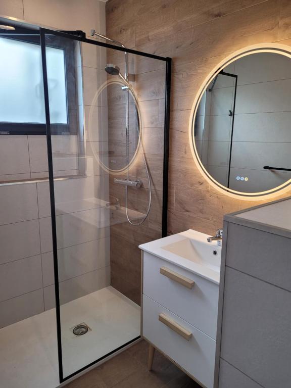 a bathroom with a shower and a sink and a mirror at Gite EUGENIE dans les remparts in Dun-sur-Meuse