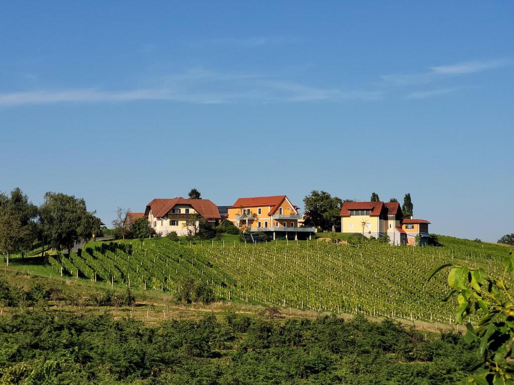 a house on a hill in a vineyard at Weinhof Reichmann in Sankt Peter am Ottersbach