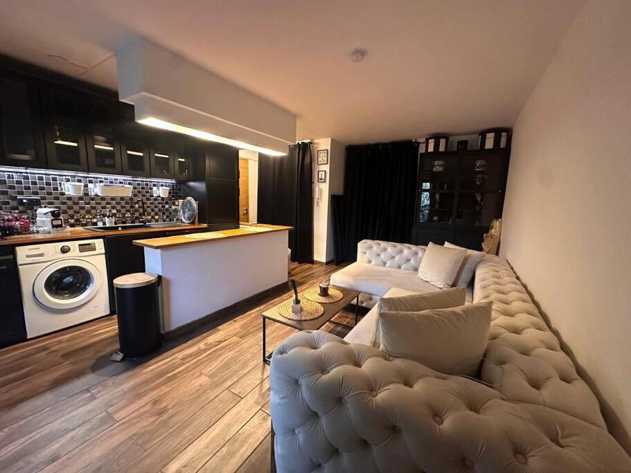 un salon avec un canapé et une cuisine dans l'établissement Jardin des plantes parking securise terrasse et ascenseur, à Toulouse