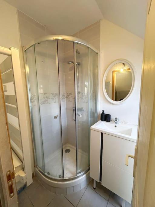 y baño con ducha y lavamanos. en Appartement cosy et lumineux., en Saint-Arnoult-en-Yvelines
