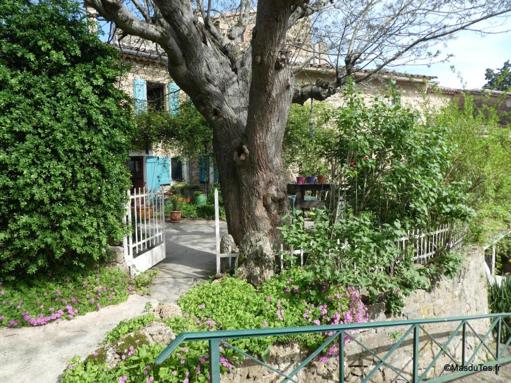 a tree in front of a building with a fence at Le Mas du Tes in Saint Sebastien d'Aigrefeuille