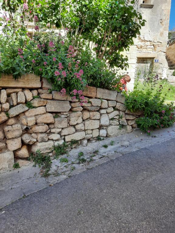 a stone retaining wall with flowers and plants at maison de village proche Avignon in Les Angles Gard