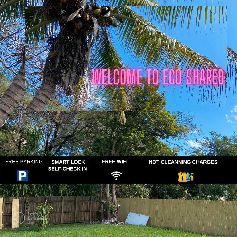 Fotografie z fotogalerie ubytování Parnasus Wynwood v Miami