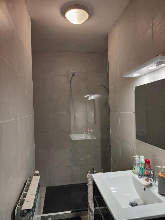 une salle de bain avec une douche, un lavabo et un miroir dans l'établissement Amaryllis, à La Tronche