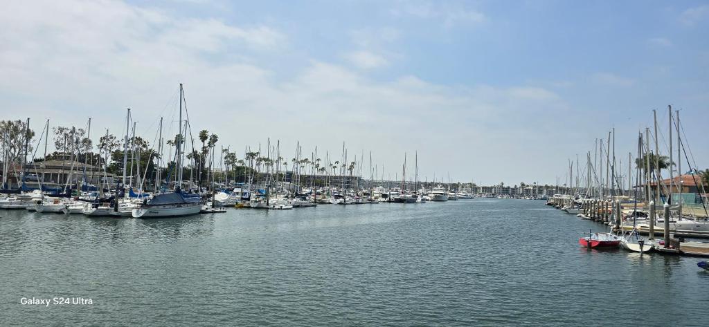 een groep boten aangemeerd in een jachthaven bij apartment in Los Angeles