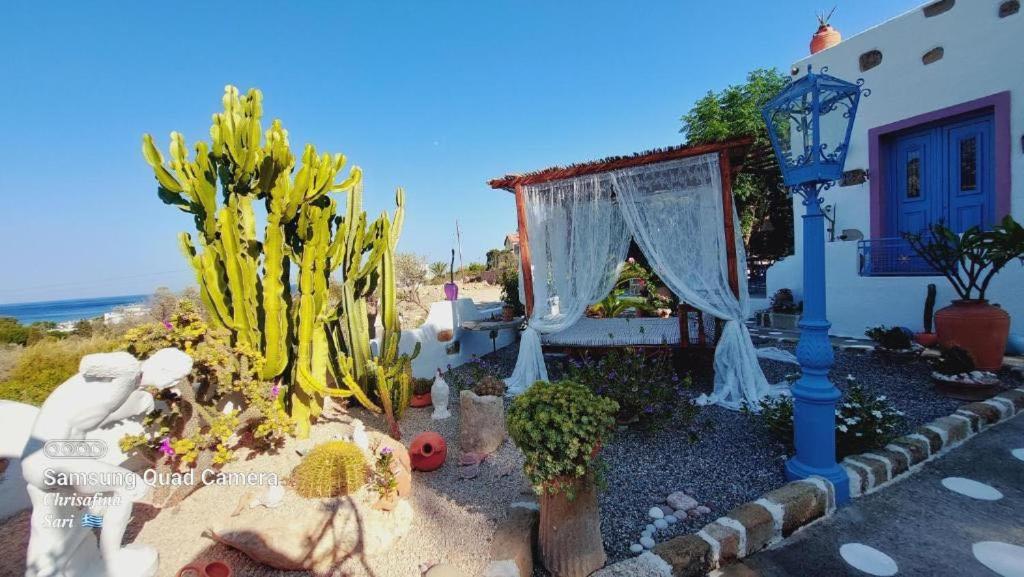 A garden outside Archontiko Stegna