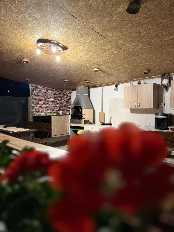 Kuchyň nebo kuchyňský kout v ubytování Cabanutele La Denisa