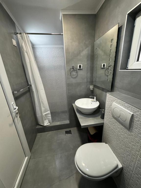 Koupelna v ubytování Guesthouse Vila Tamburic