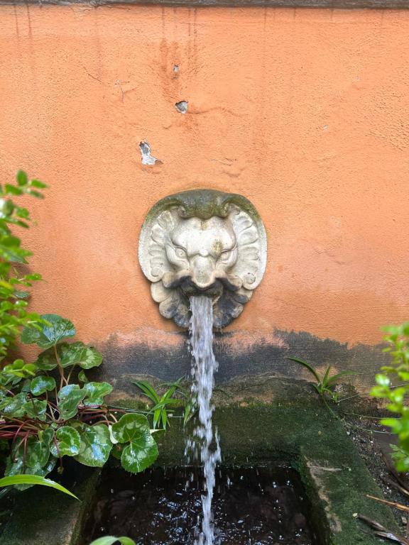 una fontana con una testa di leone sul lato di un muro di Home Rent Mancini a Roma