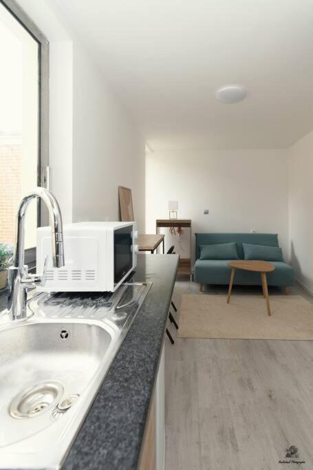 Il dispose d'une cuisine avec un évier et d'un salon avec un canapé. dans l'établissement La résidence Jeanne d'Arc 2, Troyes - France, à Troyes