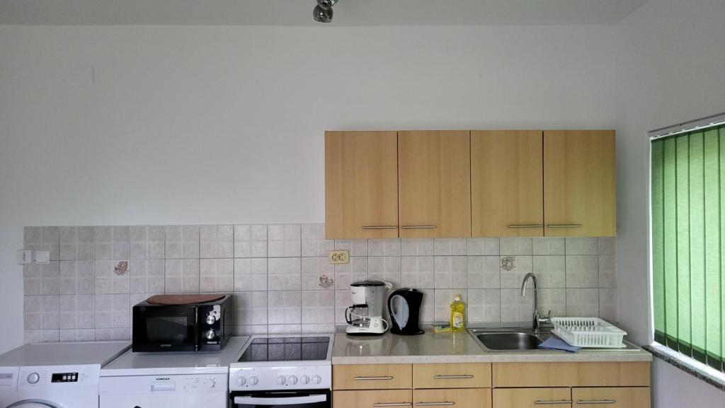 Kuchyň nebo kuchyňský kout v ubytování Apartman Padova