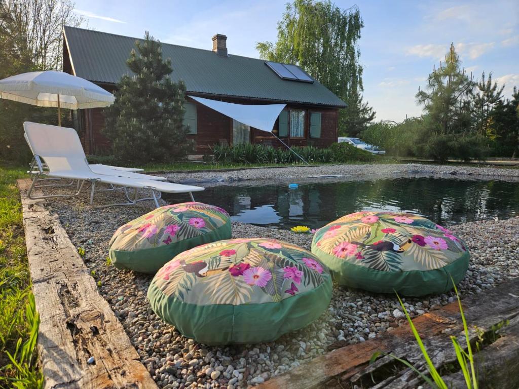 ein Haus mit einem Pool mit vier Schlauchkörpern um ihn herum in der Unterkunft LubięNic przytulny dom z basenem 