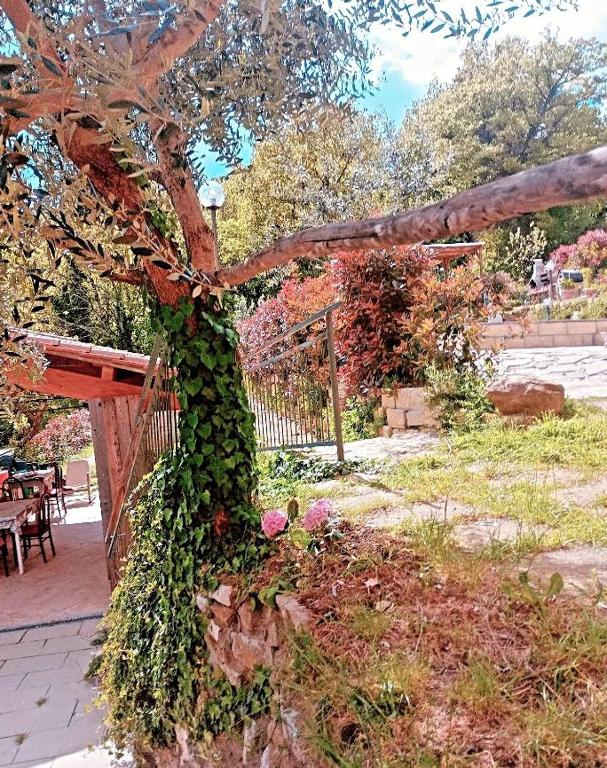 Zahrada ubytování Il Podere di Massi