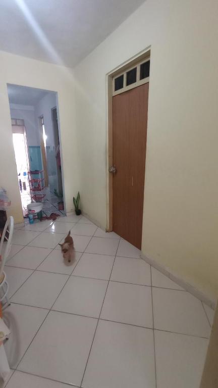 um cão sentado no chão ao lado de uma porta em Casa hostel quarto dormitório estudantil em Ilhéus