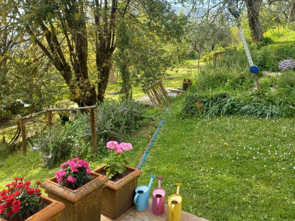 Zahrada ubytování B&B La Risorgiva