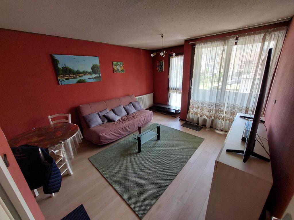 un salon avec un canapé et une table dans l'établissement le Fossié - grand T2 - basique propre et fonctionnel avec parking, à Pau