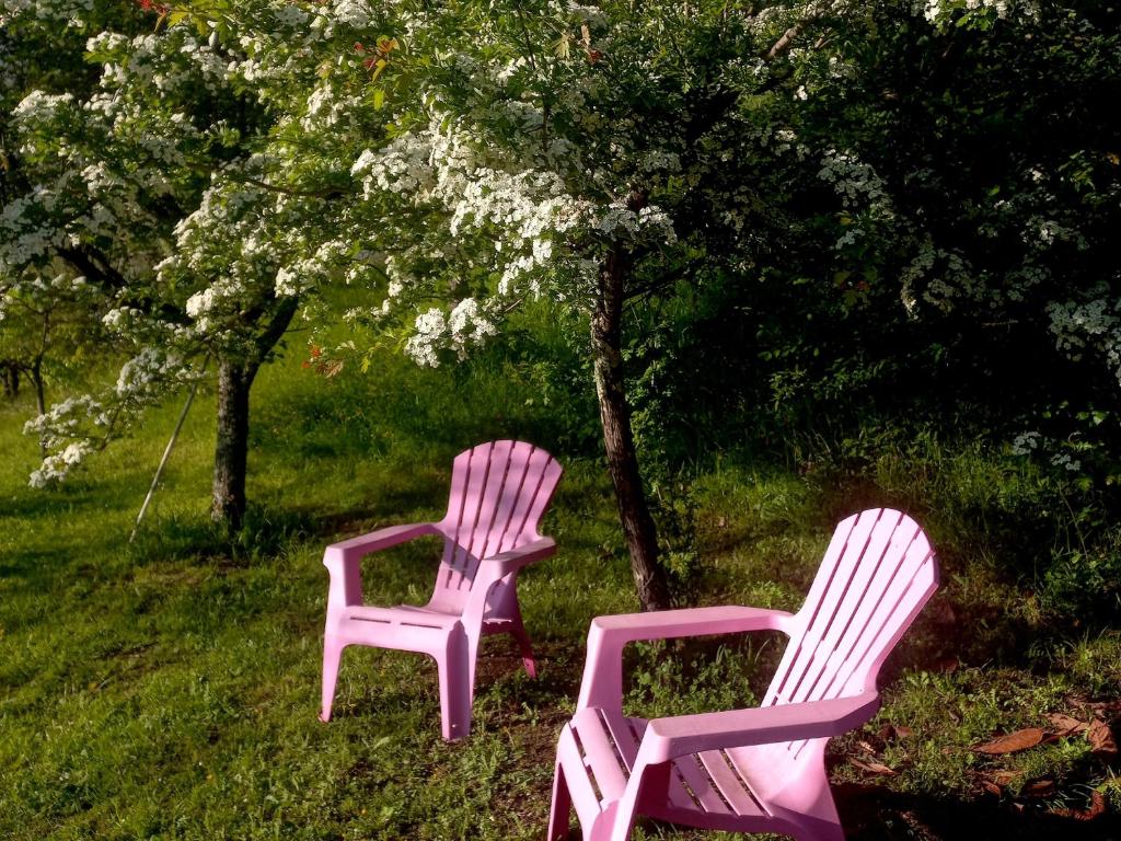 Zahrada ubytování B&B La Risorgiva