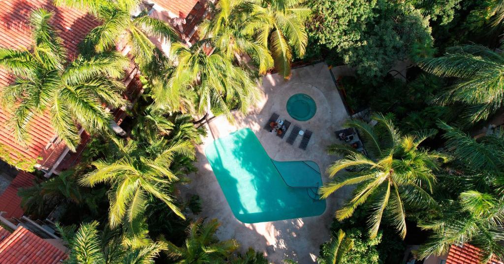 una vista aérea de una piscina con palmeras en Tukan Hotel Playa del Carmen en Playa del Carmen