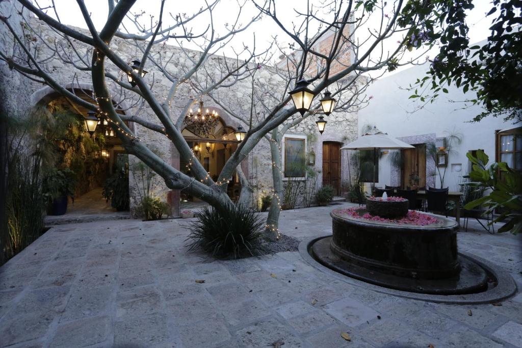 Zahrada ubytování Orchid House San Miguel de Allende