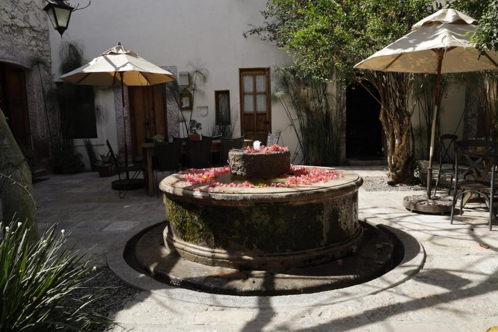 Patio nebo venkovní prostory v ubytování Orchid House San Miguel de Allende