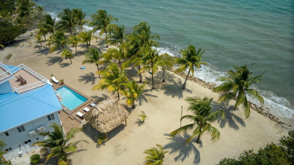 een luchtzicht op een strand met palmbomen en de oceaan bij Private Oceanfront 4-Bed Villa wPool on Huge Lot in Seine Bight Village