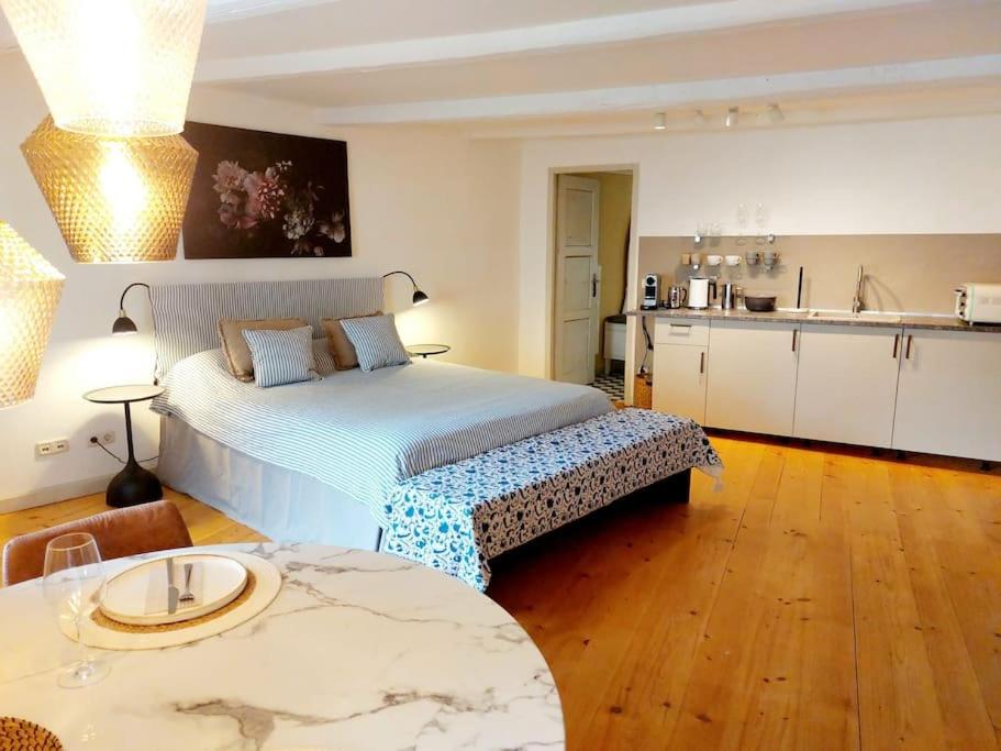 a large bedroom with a bed and a kitchen at 30qm Studio Rosenheimer Innenstadt in Rosenheim