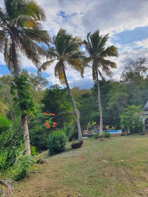 Zahrada ubytování Villa Goyave