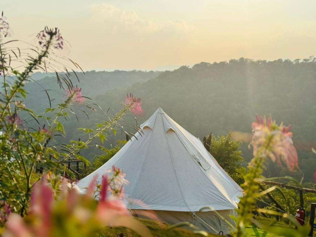 a white tent in a field of flowers at Glamping Việt Úc in Kon Von Kla