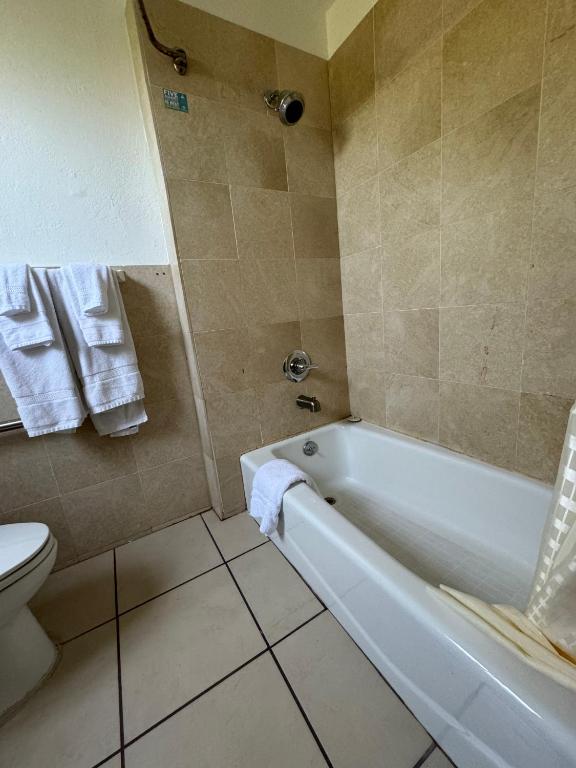 Tamalpais Motel - Chambre Double Avec Lit Double Et Lit Queen-Size