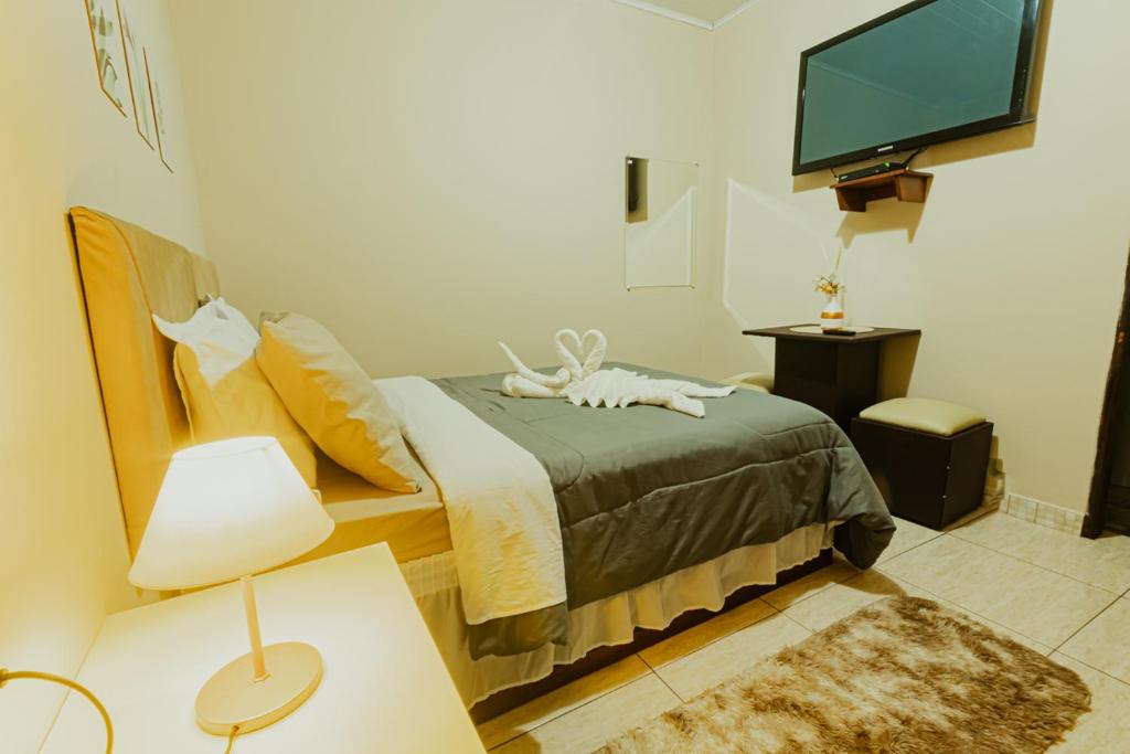 a bedroom with a bed and a tv and a lamp at Pousada São Benedito in Santo Antônio do Pinhal