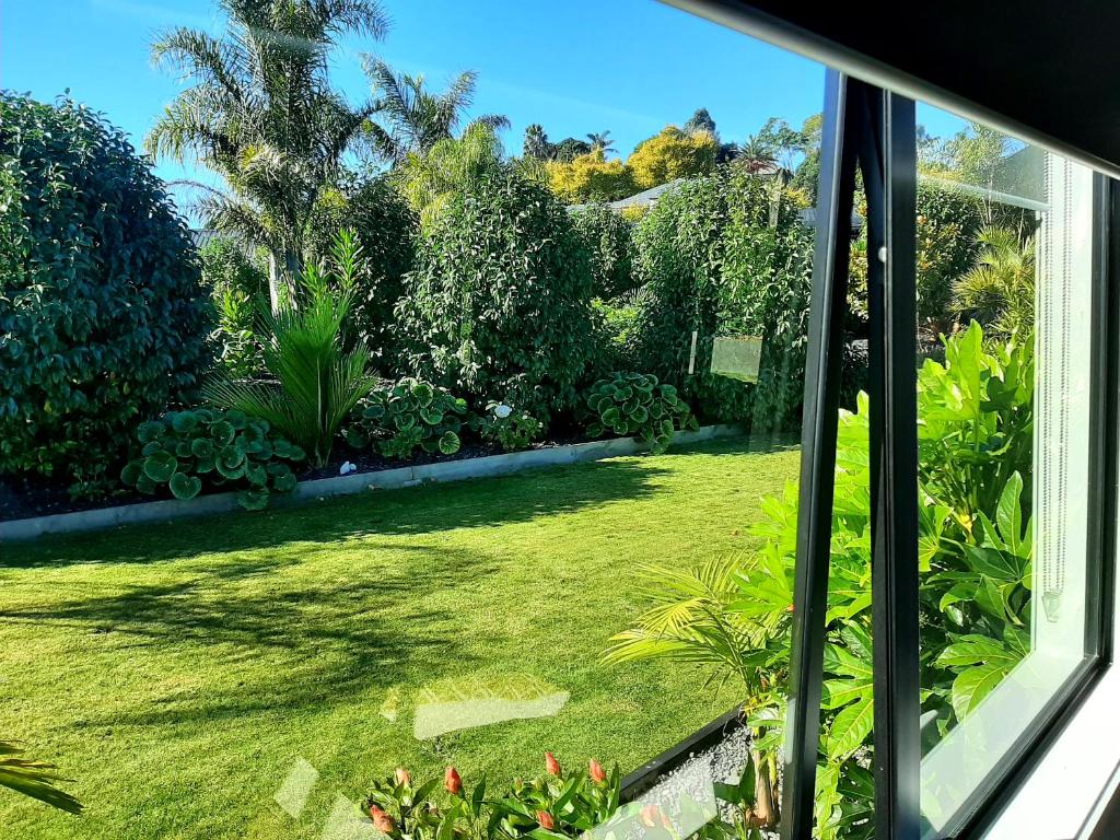 a view of a yard from a window at Tree View Studio in Tauranga