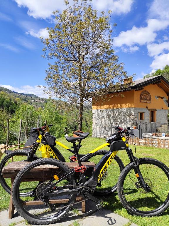 Jízda na kole v ubytování CHALET MIELE nebo okolí