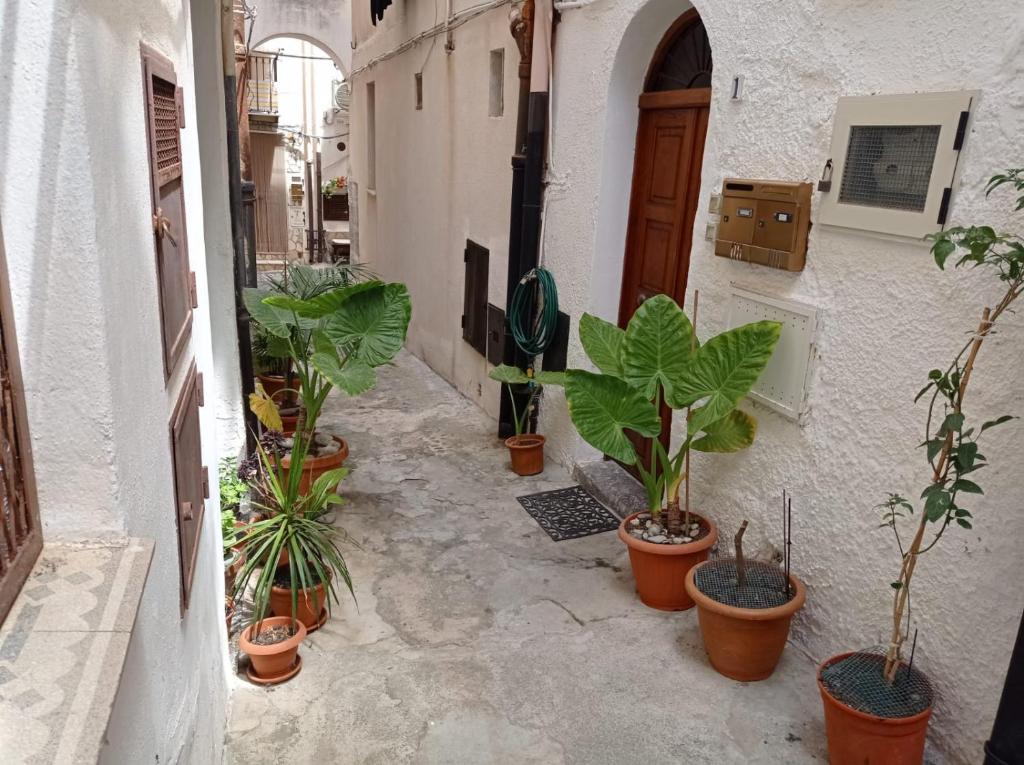 un vicolo con piante in vaso sul lato di un edificio di Cortile Maggiore Home a Cefalù