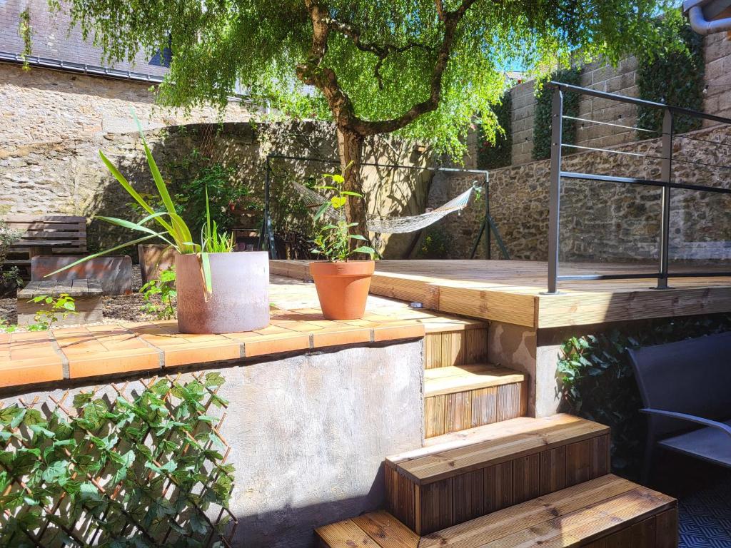 un ensemble de marches en bois avec deux plantes en pot dans l'établissement Maison cosy, à Laval