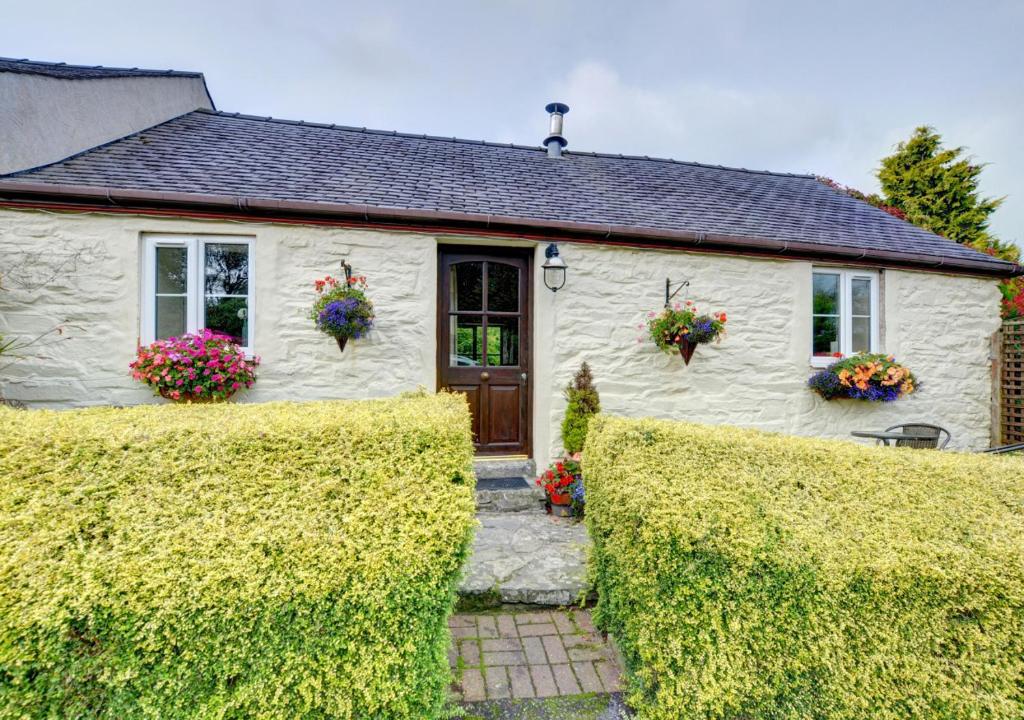 a white house with flowers on the front of it at Owl Cottage in Llanerchymedd