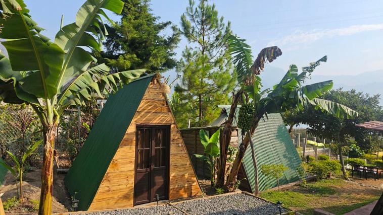 聖胡安拉拉古納的住宿－Glamping El Pájarero，一座带绿色屋顶的小型木制建筑