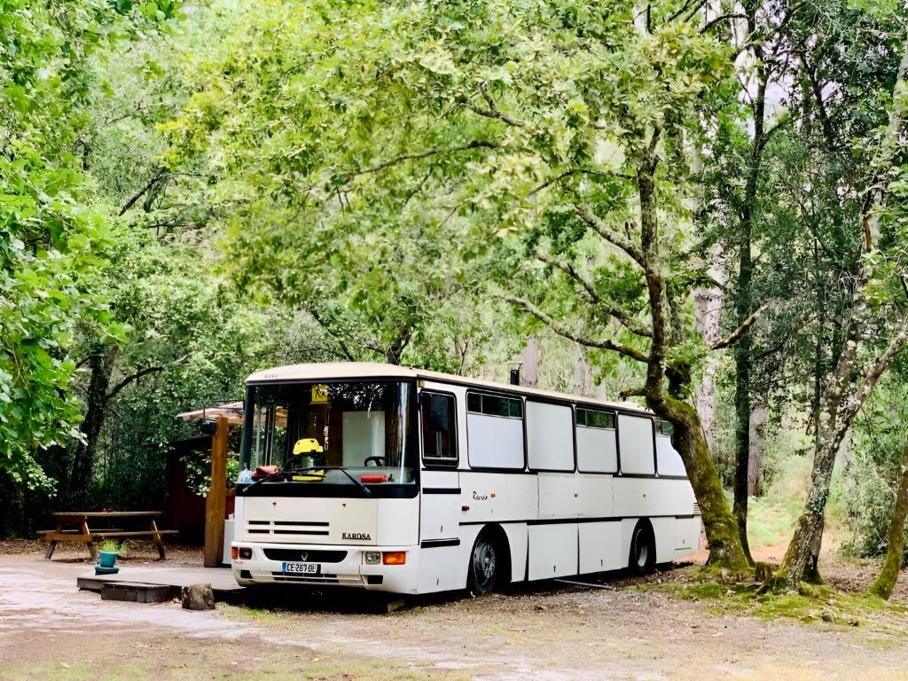 INTO THE WILD - Nos 5 logements 
