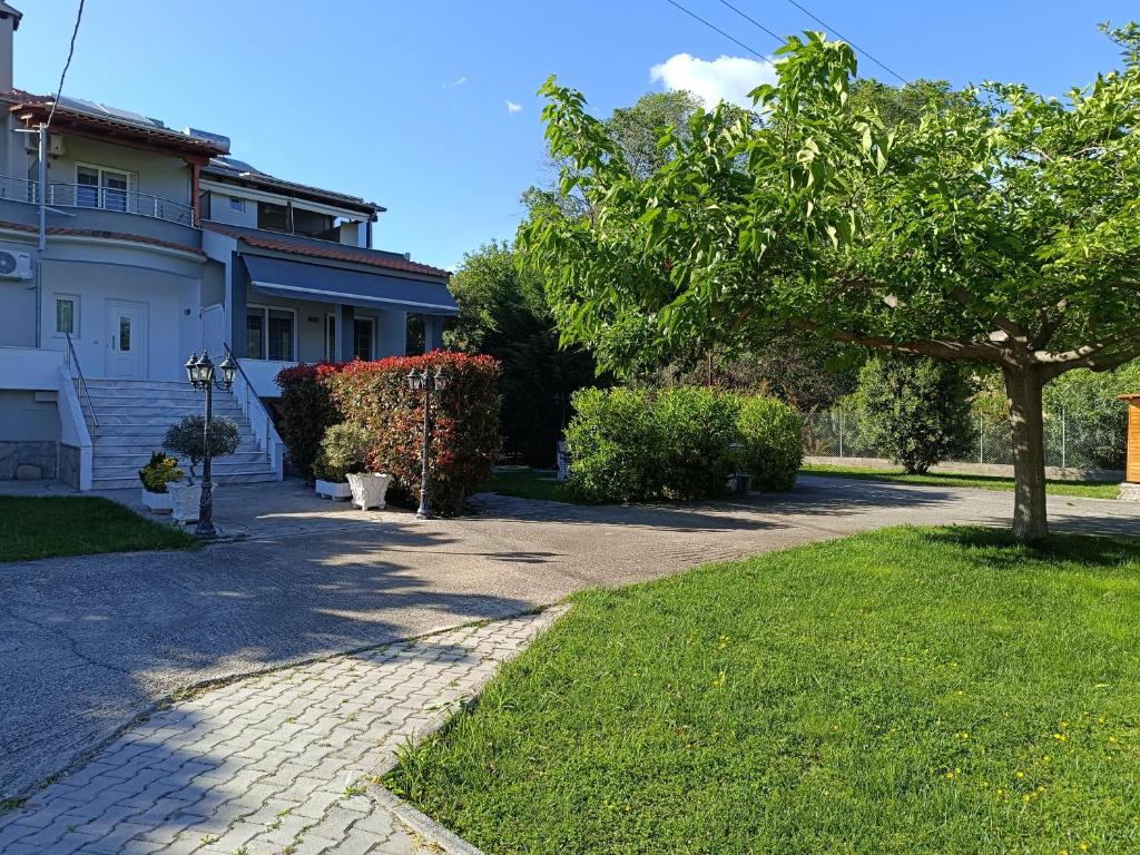 a house with a tree and a driveway at Xenia in Iraklitsa
