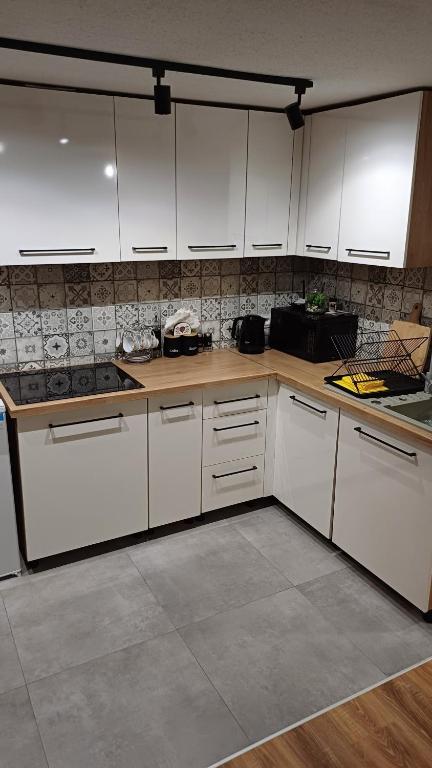 Kuchyňa alebo kuchynka v ubytovaní Apartament widokowy u Majerczyków