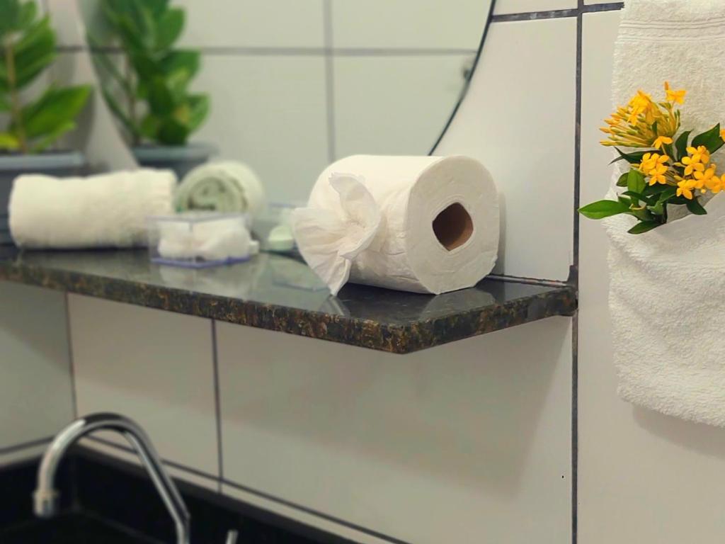 a roll of toilet paper on a shelf in a bathroom at JACY AP GOSTOSO in São Miguel do Gostoso