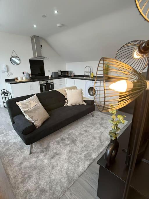 Hotel Cosy 1 Bed Flat with Free Parking, a living room with a black couch and a lamp at Cosy 1 Bed Flat with Free Parking in Birmingham