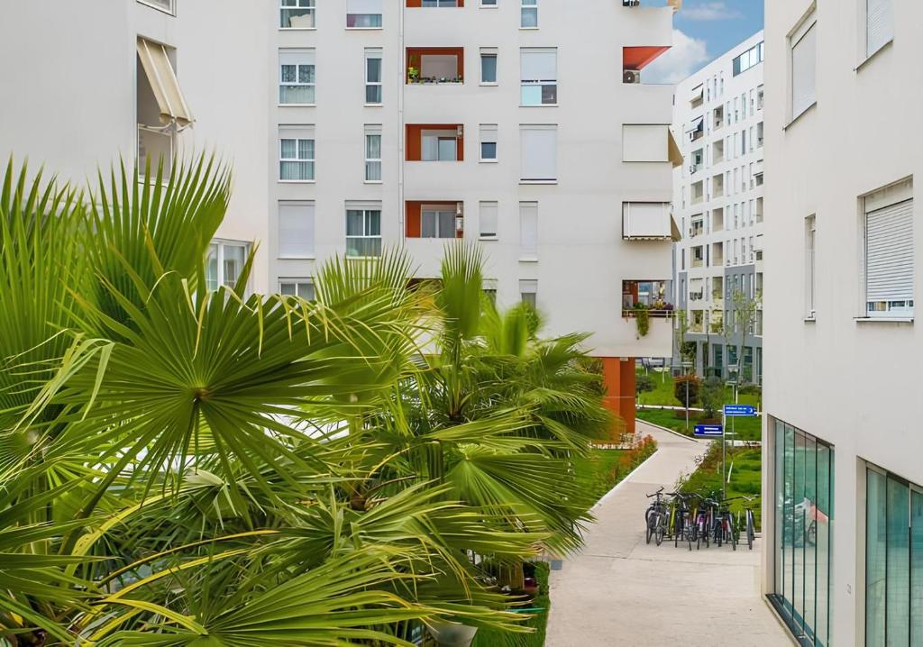 um pátio com palmeiras em frente a um edifício em Tirana Guest Apartment em Tirana