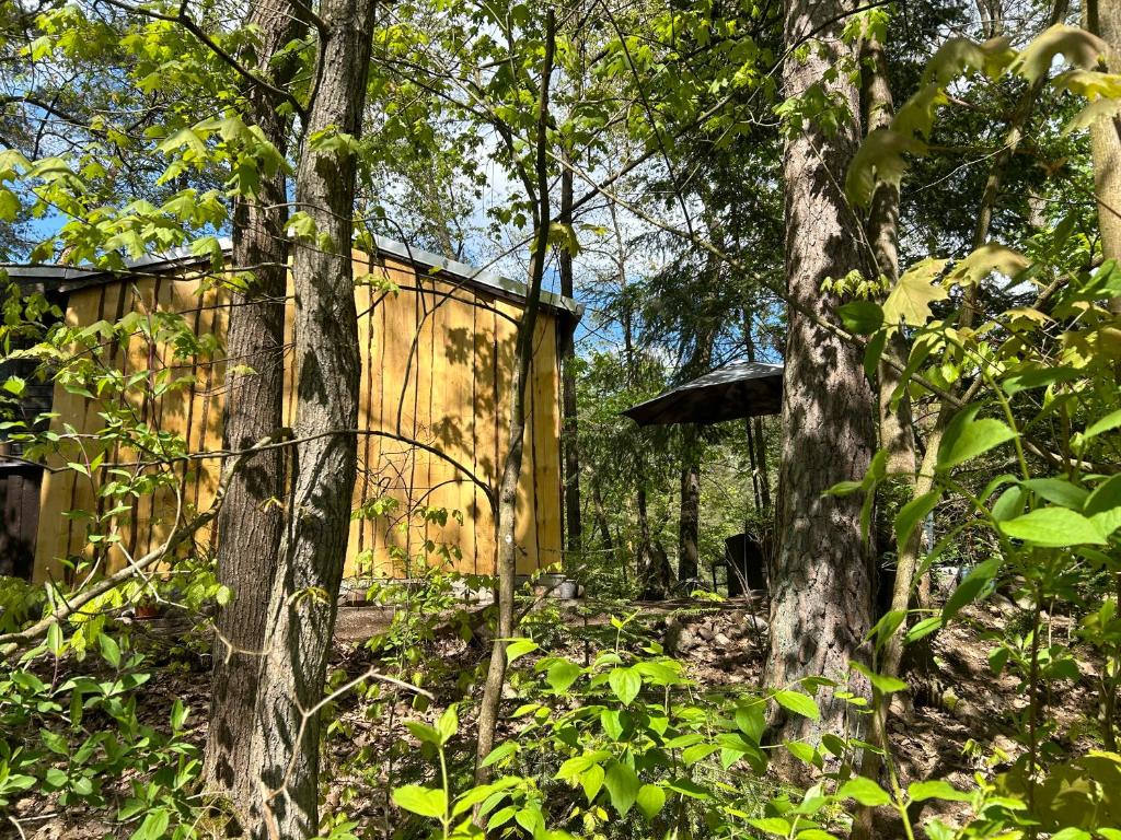 a yellow building in the woods with trees at Bungalow Biberspur in Zieko
